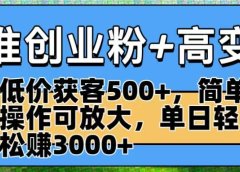 精准创业粉+高变现:低价获客500+,简单操作可放大,单日轻松赚3000+