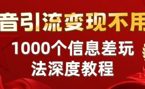 抖音引流变现不用愁:1000个信息差玩法深度教程
