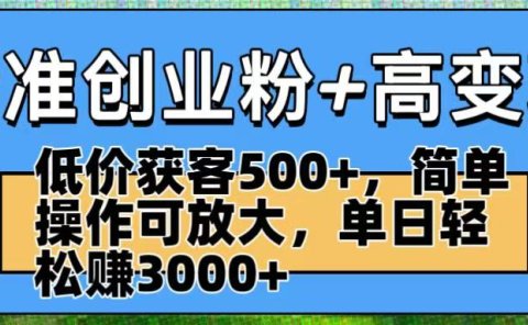 精准创业粉+高变现:低价获客500+,简单操作可放大,单日轻松赚3000+