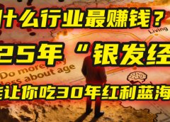 未来什么行业最赚钱？马哥揭秘2025年“银发经济”：一个能让你吃30年红利的蓝海赛道！