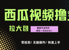 西瓜,番茄,撸金项目,单机一天轻松60元+,可无线放大化去做,零投资
