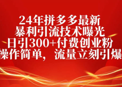 25年拼多多最新暴利引流技术曝光、日引300+付费创业粉操作简单,流量立刻引爆
