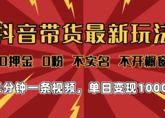 2025年抖音带货最新玩法,0押金0粉,不实名,不开橱窗,单日变现1000➕,小白最快当天见收益
