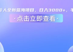 抖音发行人,全新蓝海项目,日入3000+,手机操作
