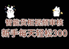 《智能货柜视频审核，几秒一单，多劳多得，新人小白一天轻松 300+，零门槛》