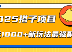 2025搭子项目每天1000+新玩法最强副业