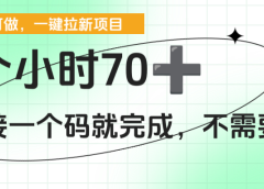 一个小时70+,一键拉新项目,接一个码就完成,不需要回传