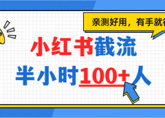 小红书截流半小时100+,亲测好用