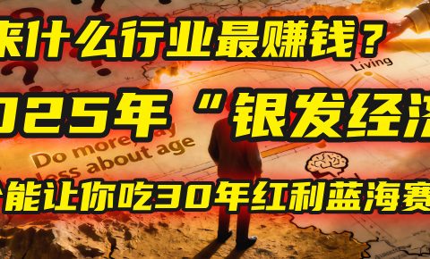 未来什么行业最赚钱？马哥揭秘2025年“银发经济”：一个能让你吃30年红利的蓝海赛道！