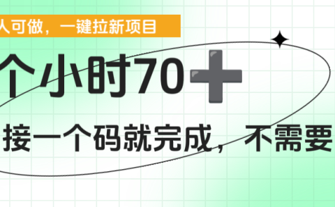 一个小时70+,一键拉新项目,接一个码就完成,不需要回传