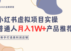 小红书虚拟项目实操指南,普通人月入1W+产品推荐,直接抄
