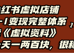 小红书虚拟店铺0-1变现完整体系,虚拟资料,一天一两百块,很稳定