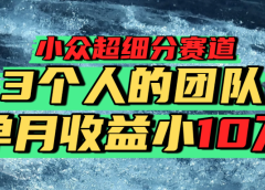 小众超细分赛道，一年百万利润的盘子！