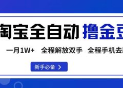 淘宝菜鸟全自动撸金豆，轻松月入1W+，全程手机去跑，操作简单