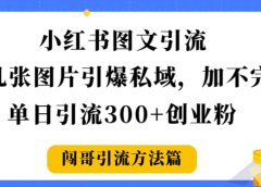 小红书图文引流,几张图片引爆私域加不完,单日引流300+创业粉