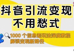 抖音引流变现不用愁！1000 个信息差玩法深度教程，解锁变现新路径