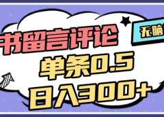2025年最新小红书评论单条0.5元，日入300＋，无上限，详细操作流程