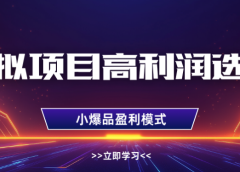 淘宝虚拟店铺高利润玩法,高客单选品技巧,单店月入1W+