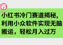小红书冷门赛道揭秘,利用小众软件实现无脑搬运，轻松月入过万
