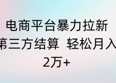 电商平台暴力拉新第三方结算 轻松月入2万+