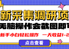 新版采集调研项目,截图上传即可,无脑操作,日收益1-2张