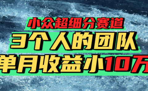 小众超细分赛道，一年百万利润的盘子！