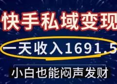 一天收入1691.5,快手私域变现,小白也能闷声发财