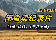闲鱼卖纪录片1单3块钱,1天几十单,项目稳定有潜力