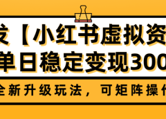 首发【小红书店铺虚拟资料】全新升级玩法,可矩阵操作,单日稳定变现300+